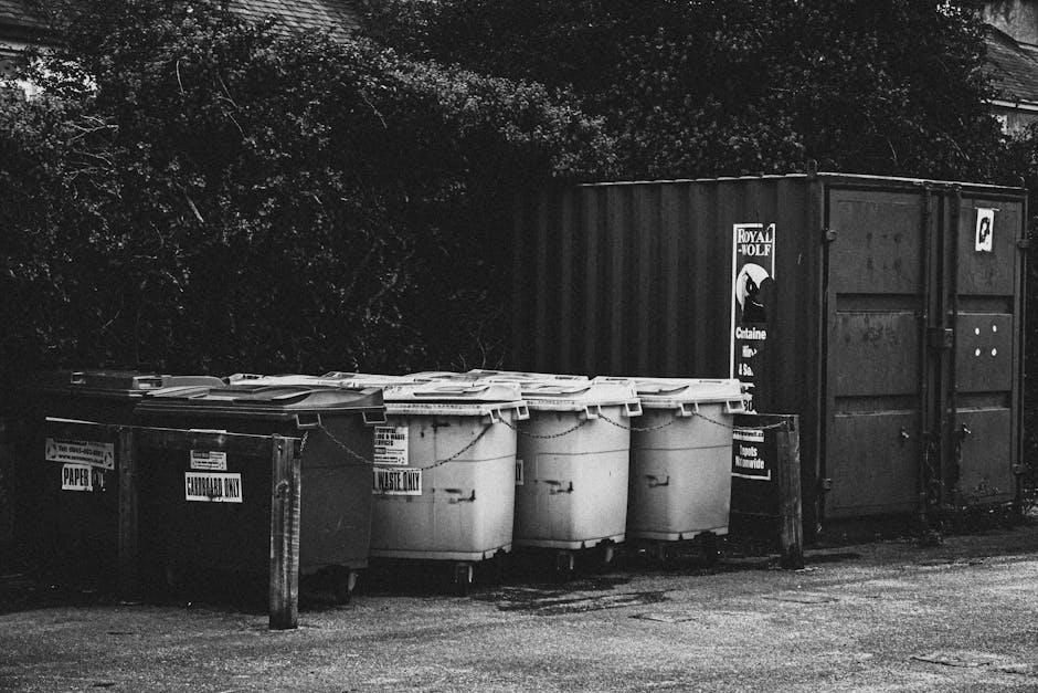 A row of five large wheeled rubbish bins, positioned on a paved outdoor surface, with the first bin labeled for paper waste and the remaining bins for general waste, all constructed from plastic with a textured surface and fitted with lids, some of which are slightly open or closed. Behind the bins, a dark metal storage container or shed with a corrugated surface and visible rivets is partially visible, with a label or sticker on its side displaying the logo of a waste removal company. The surrounding environment includes dense foliage and trees in the background, creating a shaded atmosphere, with diffuse natural light illuminating the scene. To the left of the bins, a wooden or metal post supports a sign indicating waste disposal instructions. The scene conveys a typical outdoor rubbish collection area, where waste is temporarily stored before collection, aligning with private waste handling practices in line with local rubbish removal regulations.